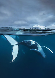 �� ��